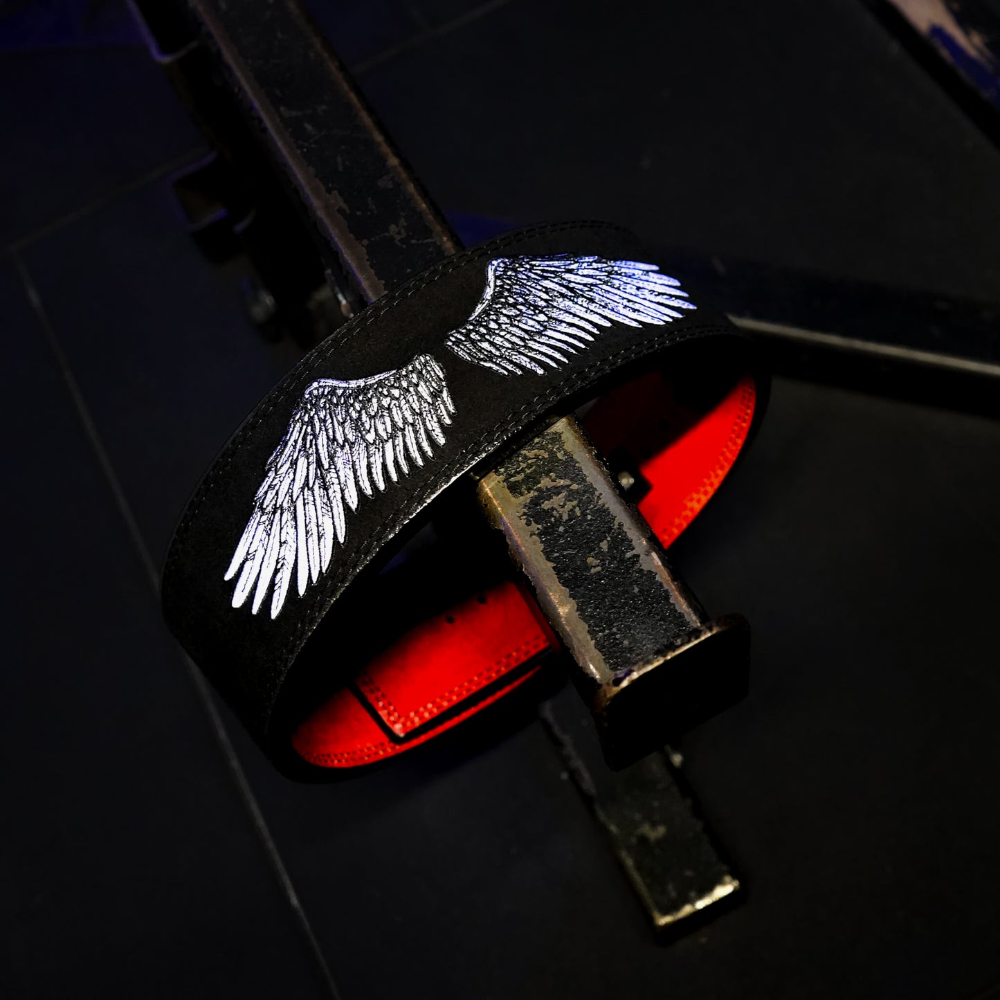 Divine Wings Strength Kit