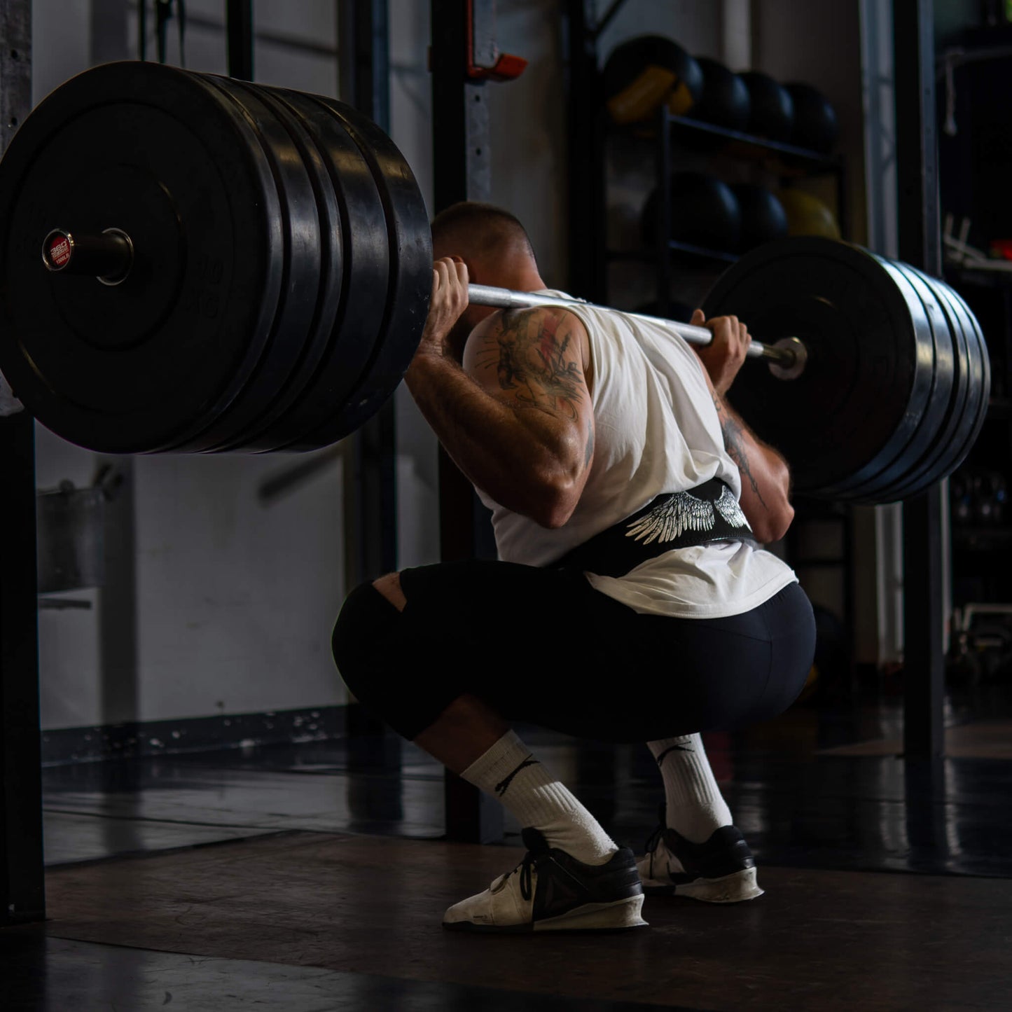 Divine Wings Strength Kit