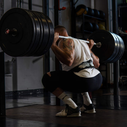 Divine Wings Strength Kit