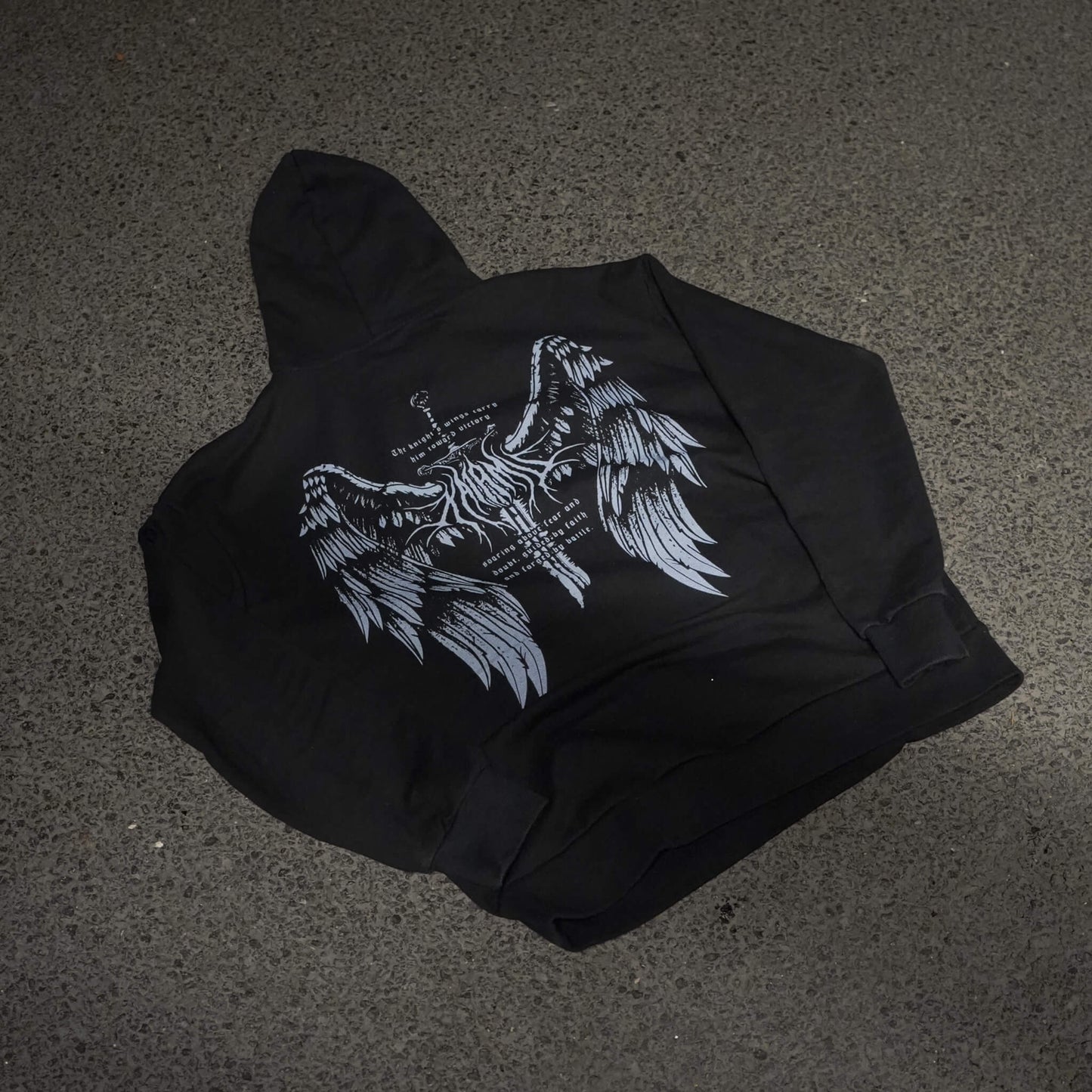 Wings Hoodie