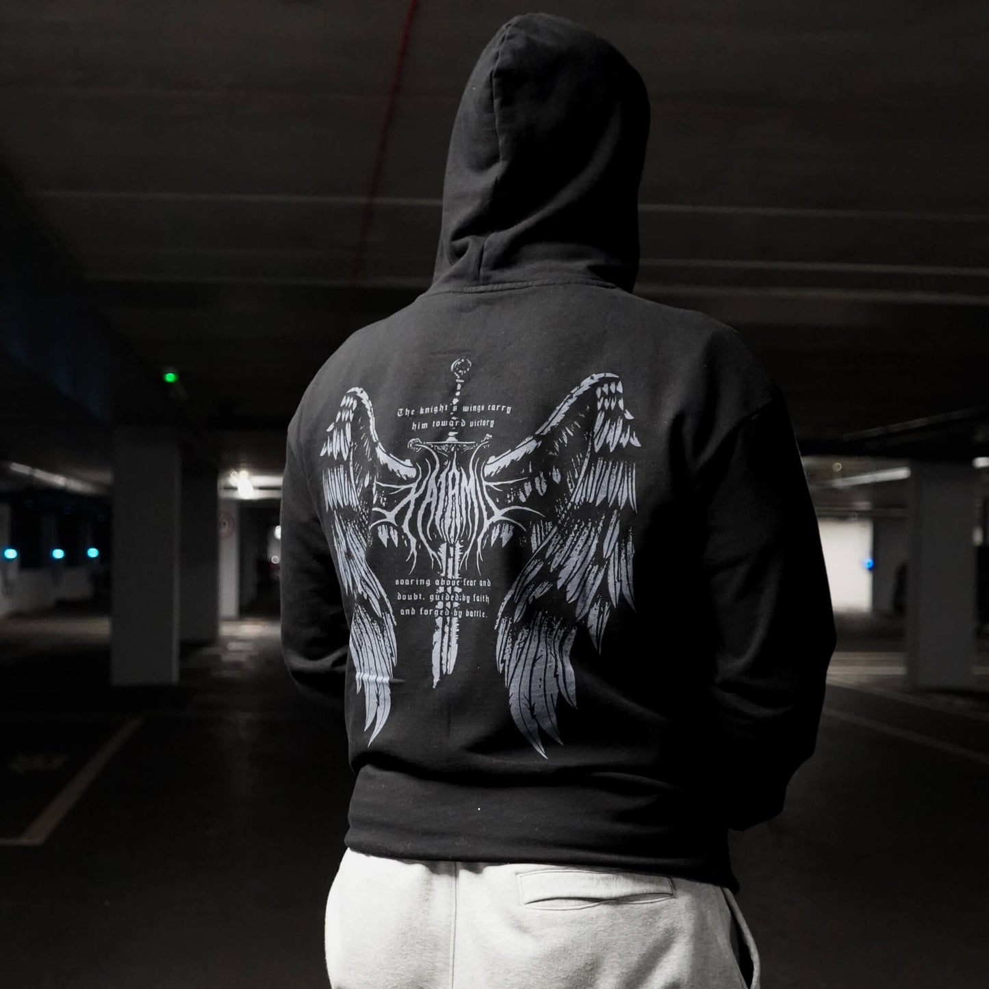 Wings Hoodie